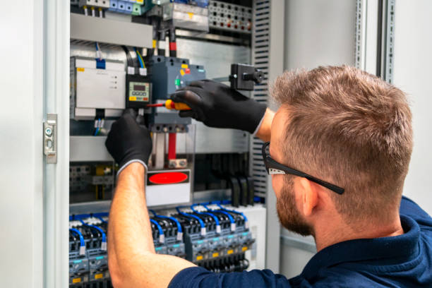 Best Electrician for Home Renovation  in Ladd, IL