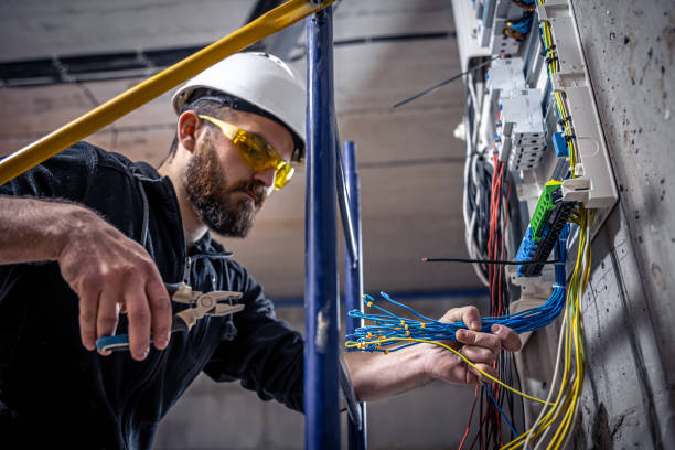 Best 24-Hour Electrician  in Ladd, IL