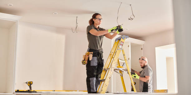 Best Electrical Upgrades for Homes  in Ladd, IL