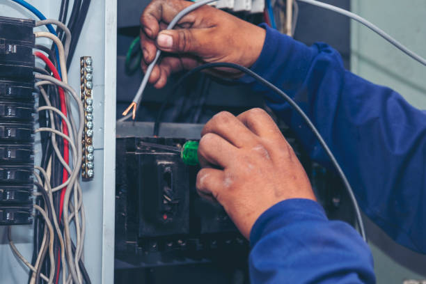 Best Electrical Repair Services  in Ladd, IL