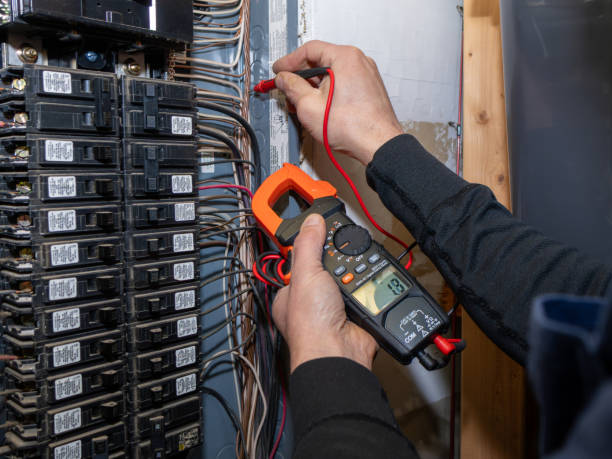 Best Electric Panel Repair  in Ladd, IL