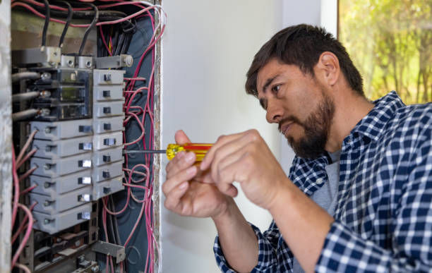 Best Generator Installation Services  in Ladd, IL